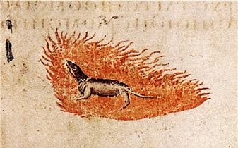A mythical fire-dwelling salamander (Vienna Dioscurides manuscript, circa 512