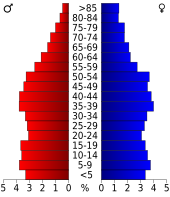 Bevolkingspiramide Dyer County