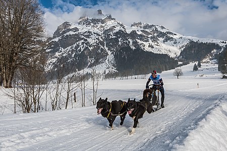 Werfenweng 2018 Kat D2 STAWOWCZYK Waldemar-9379