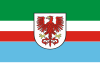 Flag of Ińsko