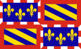 Flag of Burgundy