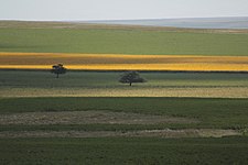 Pampas, próximo a Córdoba