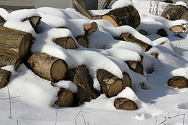 Snow covered firewood