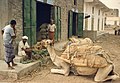 Dromadaires au marché de Bayt al Faqih, Yémen.