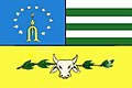 Bandeira de Nova Itarana