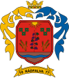 Huy hiệu của Rádfalva