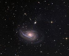 NGC 772 en lumière visible (Sid Leach/Adam Block/Mount Lemmon SkyCenter/University of Arizona).