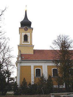 The Roman Catholic church