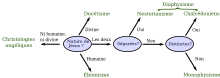 Schéma logique expliquant des divergences théologiques.