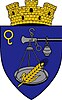 Coat of arms of Cimișlia