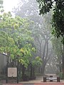 Image 11Afternoon thunderstorms are a frequent occurrence in Singapore, which has an equatorial climate. (from Geography of Singapore)