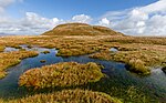 Thumbnail for File:A peat bog below the top of Doune Hill, Luss Hills, Scotland.jpg