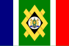 Flag of Johannesburg (en)