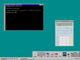 Screenshot di FVWM95 2.0.43b su Debian GNU/Linux