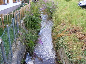 Der Mußbach an der Grenze Gimmeldingen / Mußbach