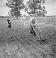 Women's Horticultural College, Waterperry House, Oxfordshire, 1943