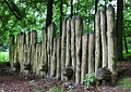 Grotenburg „Großer Hünenring“. Wall mit rekonstruierter Holzpalisade