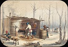 Vaření sirupu v kotlích v dřevěné boudě uprostřed lesa, barevná kresba