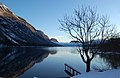 Lac de Bohinj.