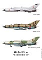 Mig 21 Fishbed D