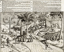 Černobílá rytina znázorňující holandské osadníky na Mauriciu v roce 1601; zachycuje kopcovitou krajinu s mnoha různými exotickými stromy, s osadníky a jejich rozličnými činnostmi, a také se zvířaty ostrova – mezi nimi je zobrazen i dronte