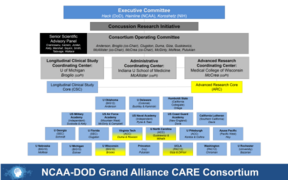 CARE Organizational Chart - Year 2 3-2-2015.png