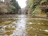 小櫃川（七里川温泉）