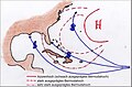 … und Lage des Azoren- / Bermudahochs steuern die Bildung und Zugstraßen der Hurrikans