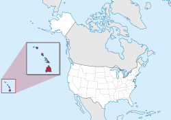 Kort over USA med Hawaii markeret