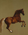 Whistlejacket. National Gallery (Londres)