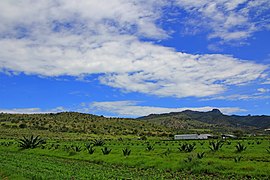 Sierra de Tlaxco Tlaxco