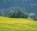 Die Mutta bei Falera mit der Kirche St. Remigius