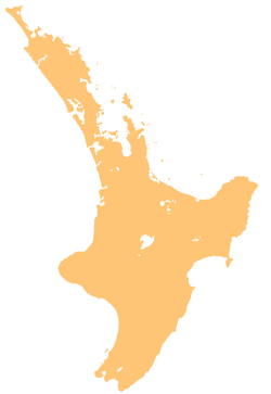 Te Kohanga is located in North Island