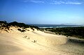 Dune in Santa Catarina Island.