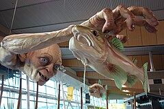 Gollum en el aeropuerto de Wellington.