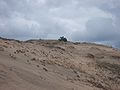 English: Dunes in Slowinski National Park Polski: Wydmy w Słowińskim Parku Narodowym