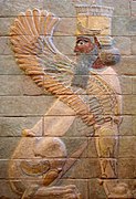 Geflügelter Sphinx aus dem Palast von Dareios I.