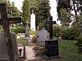 Šakynos kapinės