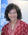 Noeleen Heyzer, United Nations official