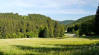 Im oberen Westerzgebirge bei Oberwildenthal