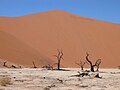 Dune 9, the highest dune of the world (>300m)