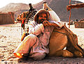 الحياة البدوية في صحراء الغردقة.