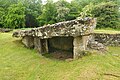 Tinkinswood of Castell Carreg