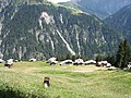 Zalön, Blick auf Glaspass