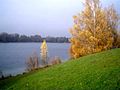 Bords du Lac de Feldmoching, le Feldmochinger See.