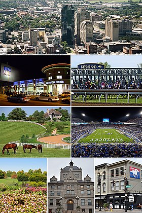 Do topo, da esquerda para a direita: panorama de Lexington, Rupp Arena/Central Bank Center, Keeneland Race Course, Donamire Farm, Kroger Field, University of Kentucky Arboretum, Old Fayette County Courthouse, sede da NTRA