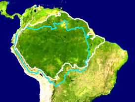 Extensión de la Amazonia.