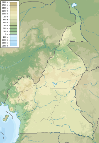 Bamenda-Berge (Kamerun)