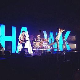 Hawk Nelson performing in 2014