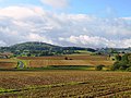 Vue du mont des Récollets depuis Steenvoorde, avec, à droite, Cassel.